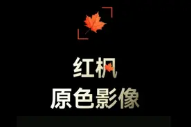 华为“红枫影像”会是原相机的标准答案吗？图片