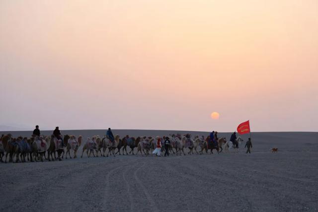 穿越古老的阳关古道,“东天山来的骆驼队”如今走到哪儿了?