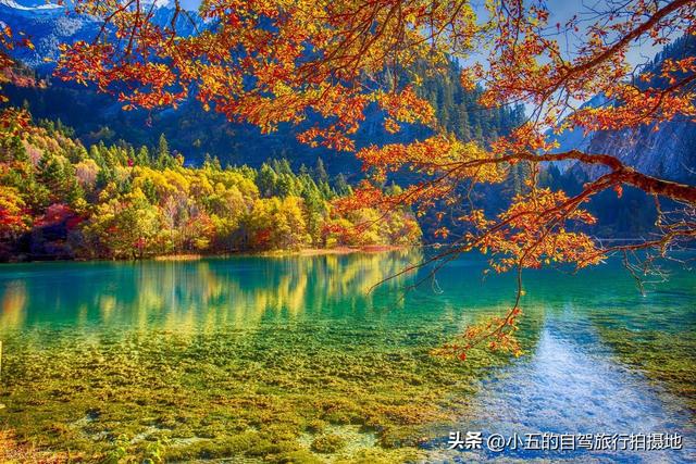 11月旅游的目的地推荐|每一个都是出片圣地的存在