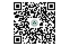 2024上半年深圳市龙岗区深圳中学龙岗学校（集团）赴北京面向2024年应届毕业生招聘教师公告图片
