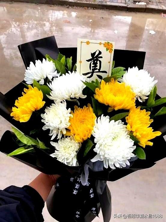 阴花不能进阳宅。这5种花“打死”也不养，家里若有？快挪走！