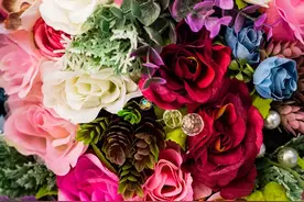 花儿老是养不好，也许不是你的错，看完这个就懂了图片