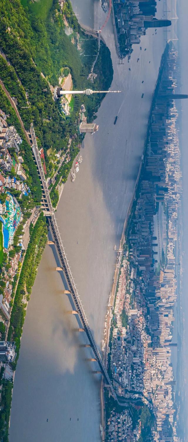 武汉高空观景台+1！汉阳龟山知音殿，今起开放体验