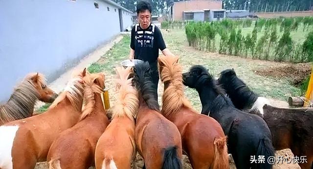 不查不知道一查吓一跳，坐拥北京60亩庄园的于谦，私下到底有多富