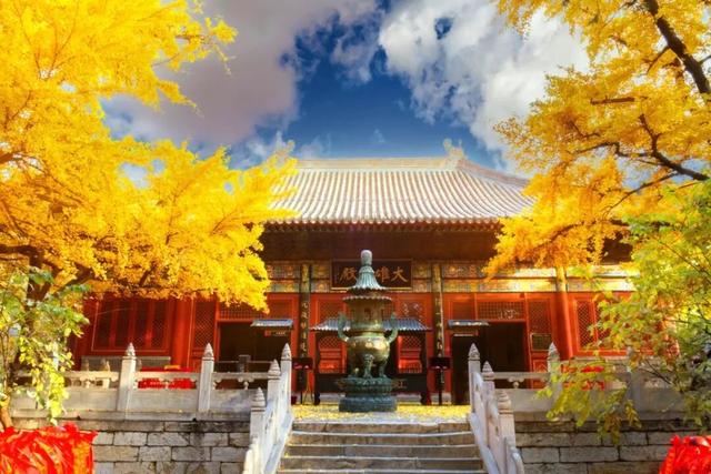 沿路骑 | 骑遇怀黄探长城