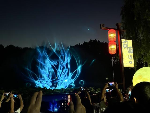 优雅别致荷花开，一场夏日的诗意邂逅