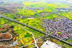 春天来了 乘坐“花海”高铁去赏花吧图片