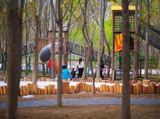 天津梦嚒小队集结！清明假期走进《森林里的奇幻之旅》！