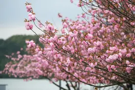 已确认，持续4天！尤其是今晚，宁波人早点回家……图片