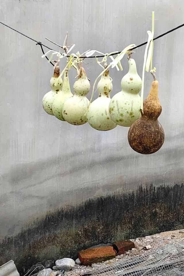 探访博山源泉郑家庄月亮门象鼻子山