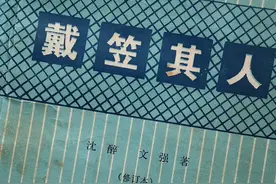 戴笠其人（文强）图片