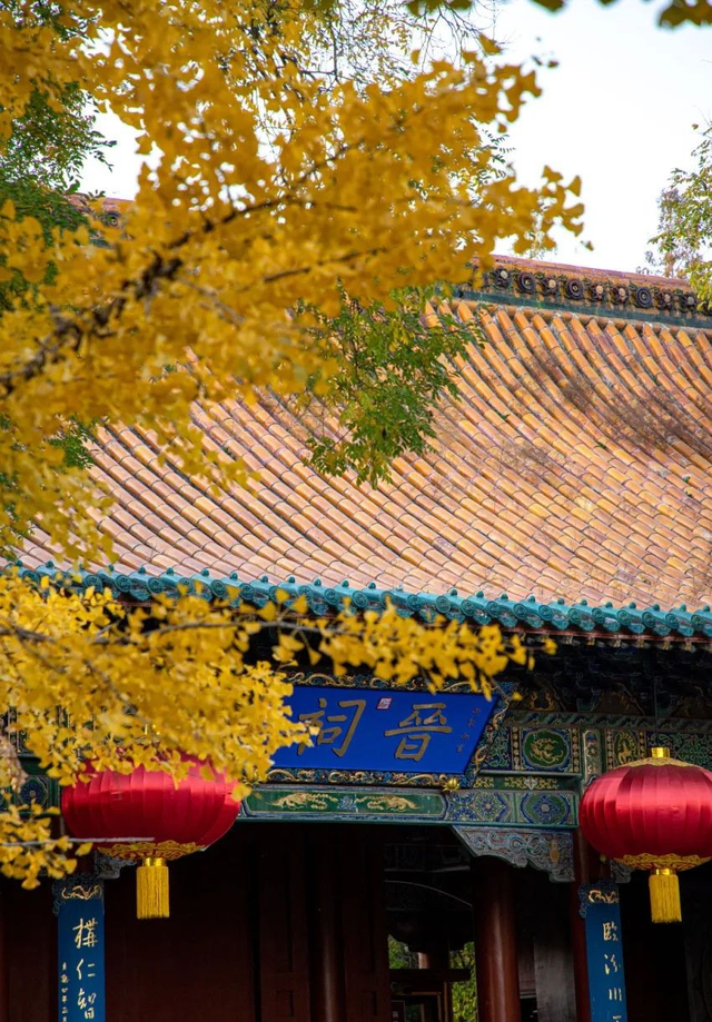 接下来太原的秋天是这样的！太原2025秋季赏叶指南请收藏