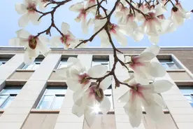 你好，大连理工！图片