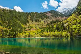 古诗词“飞花令”之“零”（位置飞花令的第7字）图片