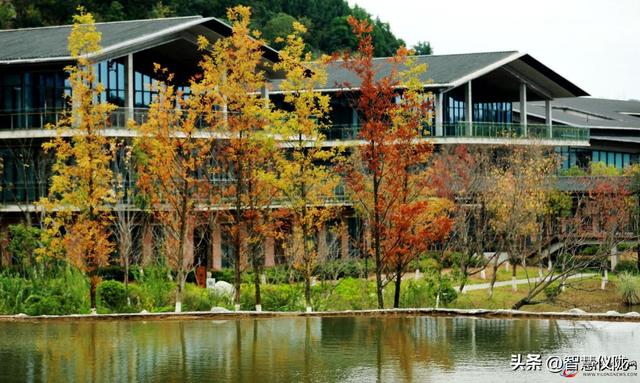 美美哒！来仪陇，邂逅四川张思德干部学院的初冬浪漫！