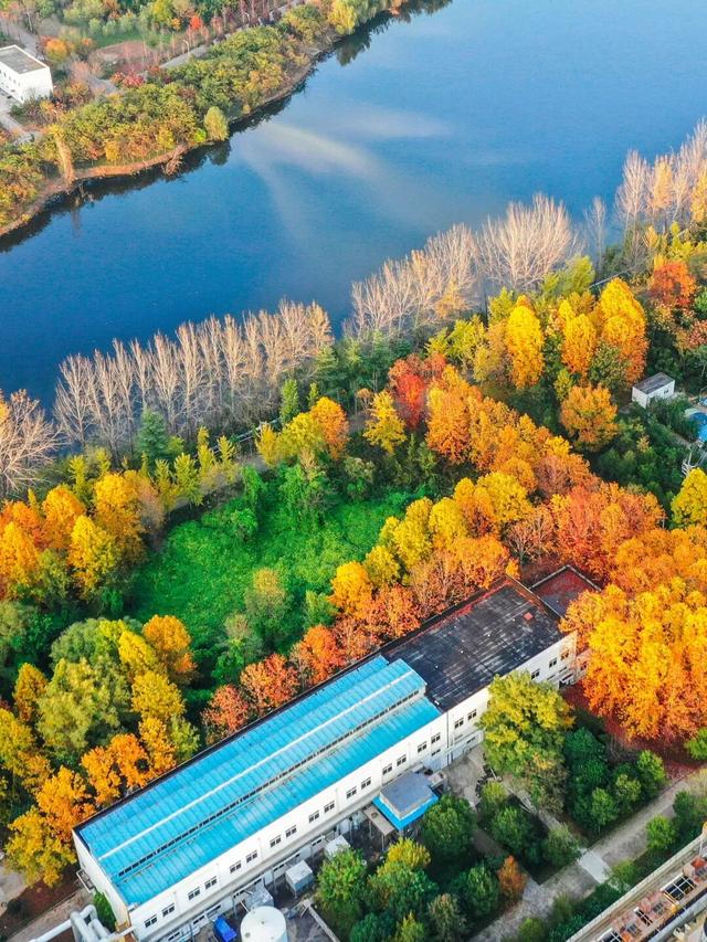 鲁南制药的初冬，一场“色香味俱全”的极致盛宴