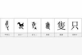 每日一字——只图片