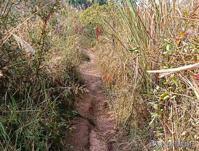 成都龙泉山爆红徒步路线，享受超级梭梭板，大人小孩都喜欢！