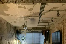 DJ客厅加黄金马桶，为了改变居住心情，年轻人装修设计有多奇葩？图片