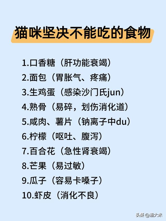 养猫必看！这些食物让猫活不过24小时，还有能吃的快收藏