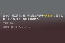 张雪峰到底靠不靠谱？看完网友分享别提多羡慕，评论区沦陷了！图片