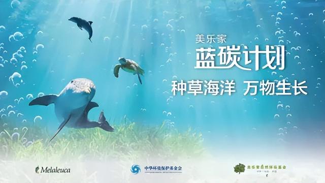 修复海草床近4000平，美乐家出席2025海南蓝碳论坛