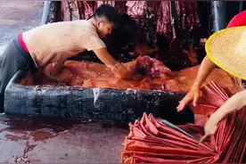 广东顺德，见到了香云纱图片