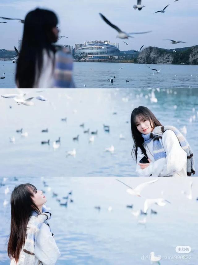 周末就冲！成都出发40min直达浪漫小城，喂海鸥逛古寺！