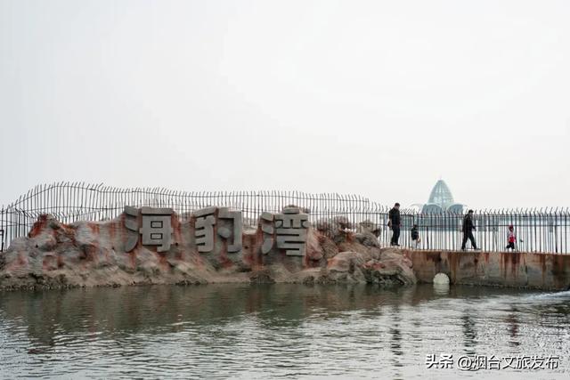 周末好去处丨人少免费!烟台小众公园美疯了