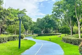 运动休闲好去处！九亭镇健身步道指南来啦！图片