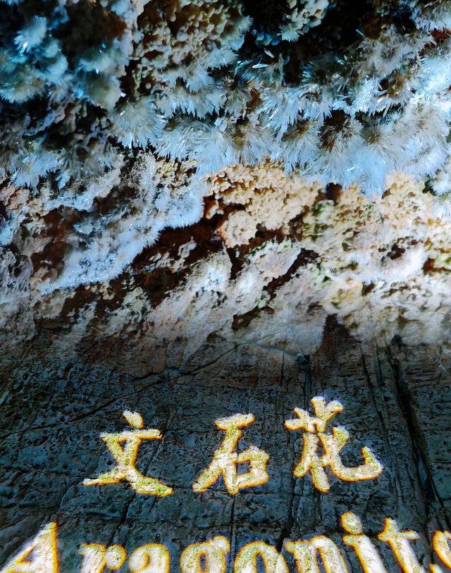 世界上只有中国山东省淄博市才有的 “全球独一无二的 5 大奇景”