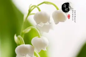 “清明要躲藏，不如床上躺？”5种生肖要“躲月”？有何说法？图片