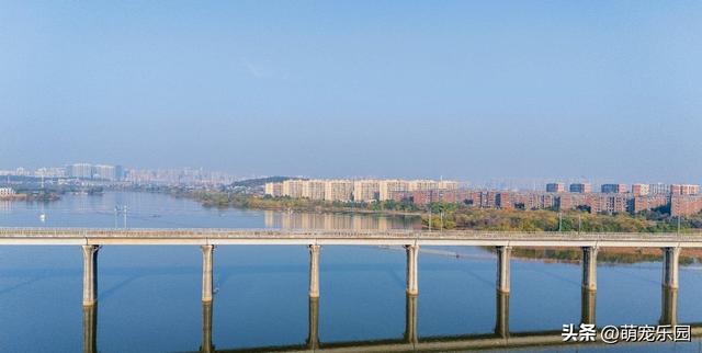 晨光轻抚江面，武汉苏醒时，我被这暖冬诗意震撼了