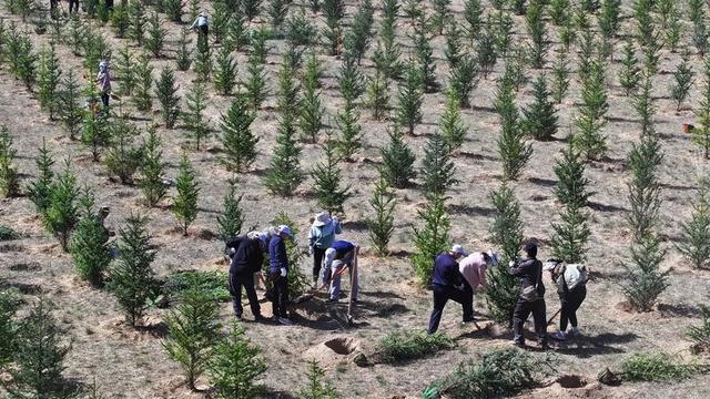 美国专家：这县城必成罗布泊！4万年轻姑娘不信邪，直接杀到沙漠