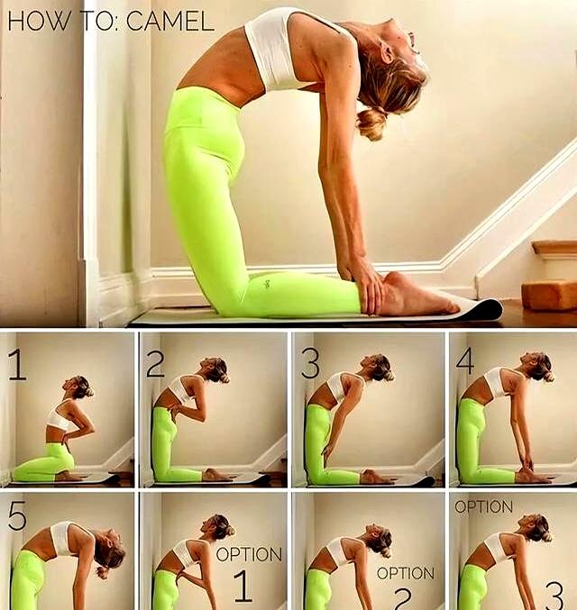 如果这12个瑜伽动作你能做到6个！说明你身体是真的很好！