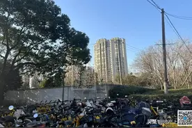 重磅！浦东三林将迎来大面积动迁图片