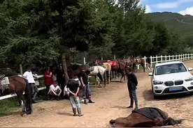 马匹死亡游客赔7000元，被讹还是暴力骑马？当地文旅局：网络视频只录了“争执的一小段”图片