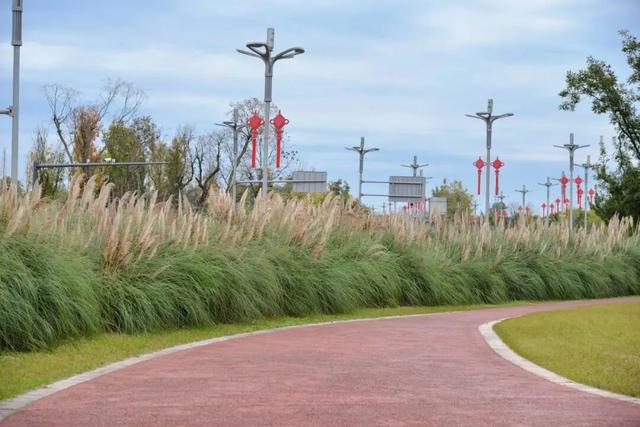 一定要去一趟！金堂这里的美，藏不住了！