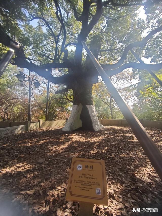 2025 杭州西湖 City Walk 留下足迹