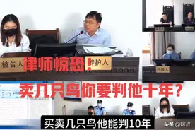 卖几只鸟你要判他10年？上诉二审庭审现场，律师激烈为其辩护无罪图片