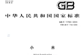 普通老百姓如何选择小米？图片