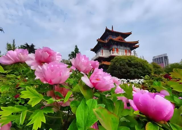 中国最美春光！踏春游春十个最佳去处