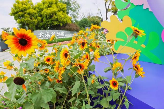 自然与文创碰撞！来云溪，赏玩全国精品，打卡羊城特色