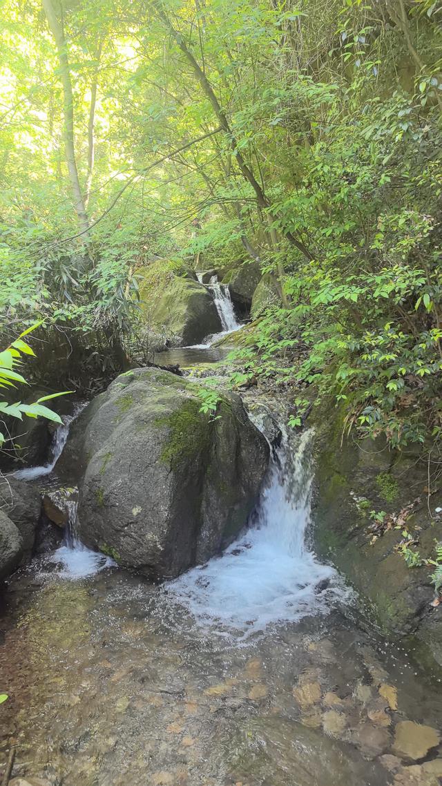绍兴梅坞古道一条 对新手小白特别友好的线路
