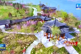 【牢记嘱托 感恩奋进】白洋淀：“华北明珠”焕光彩 “蓝绿交织”满目新图片
