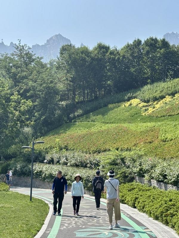 一座藏在青岛主城区内的森林氧吧