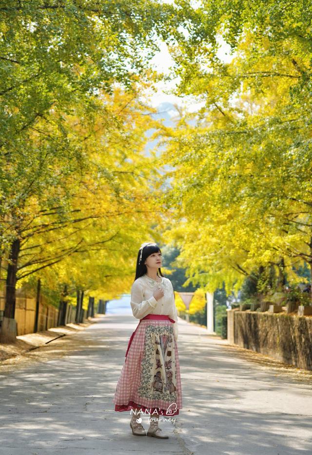 漫游韶关，赴一场山水间的秋日之约