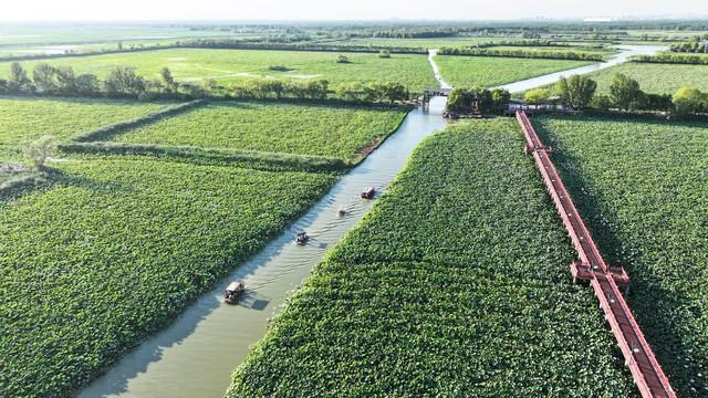 微山湖：碧波映文脉，浩渺润齐鲁