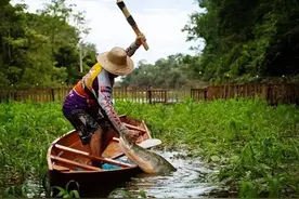 在亚马逊河里横行无忌，拿食人鱼当“糖豆”，却输在人类的闷棍下图片