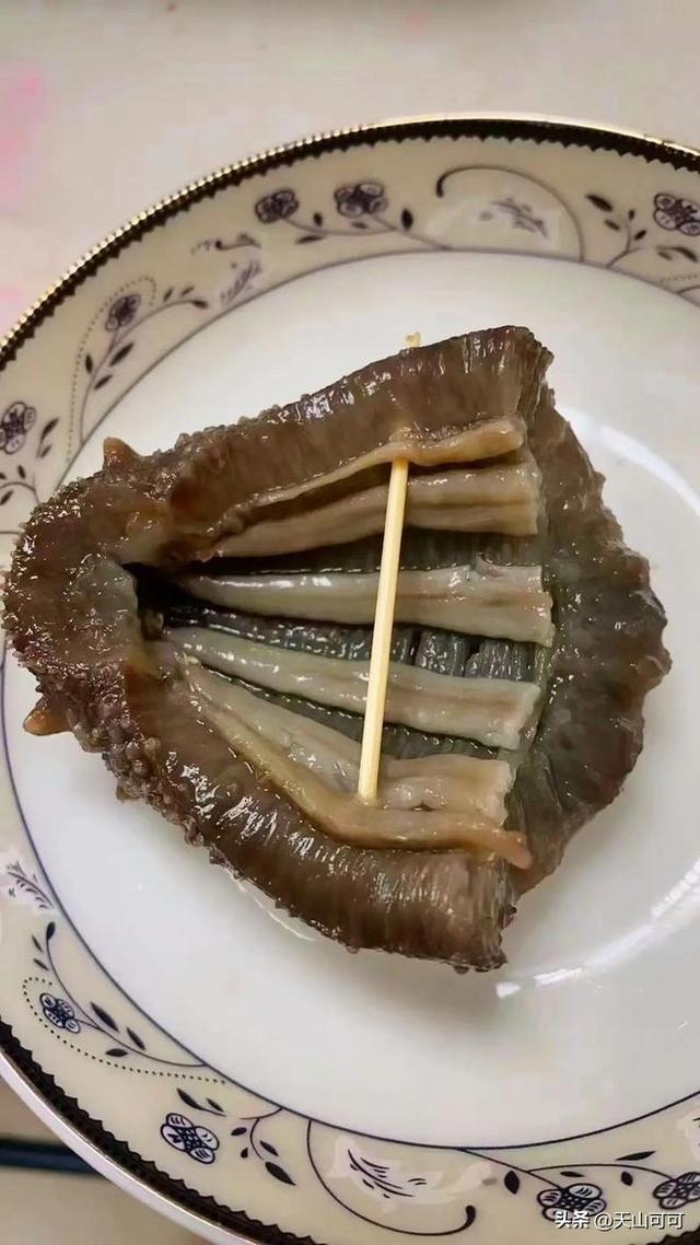 野生海参与养殖海参的区别 2026年野生海参与养殖海参的区别图片